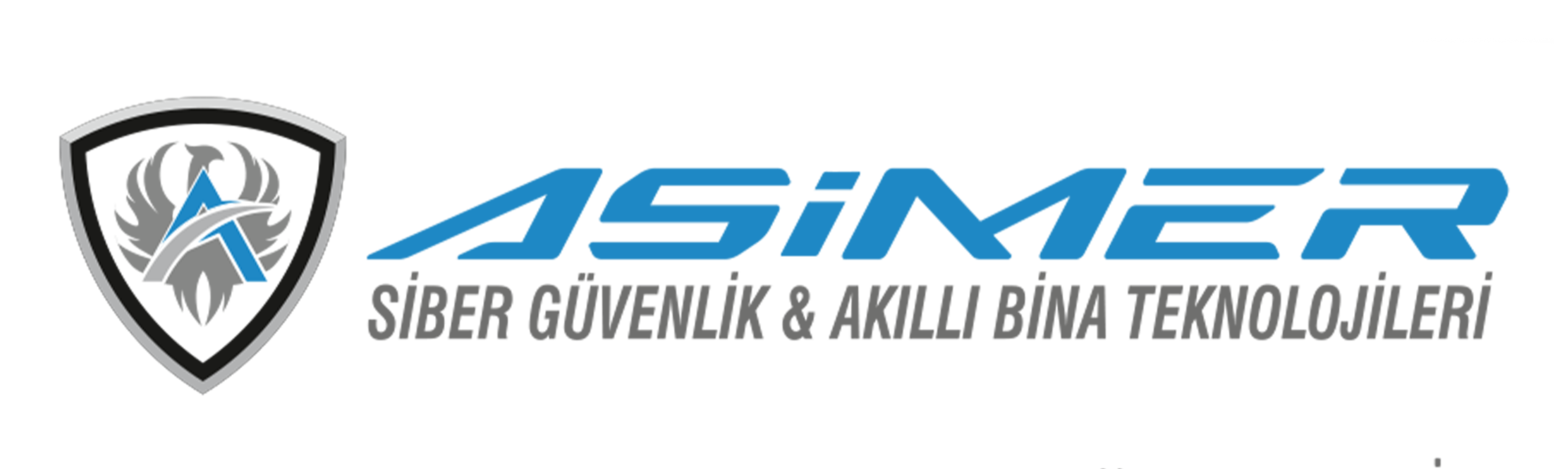ASİMER SİBER GÜVENLİK
